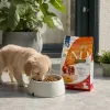 N&D PUMPKIN Puppy Mini Grain-free Food orange, white and red gradient packaging bag printed with pomegranate pumpkin chicken pattern details Picture